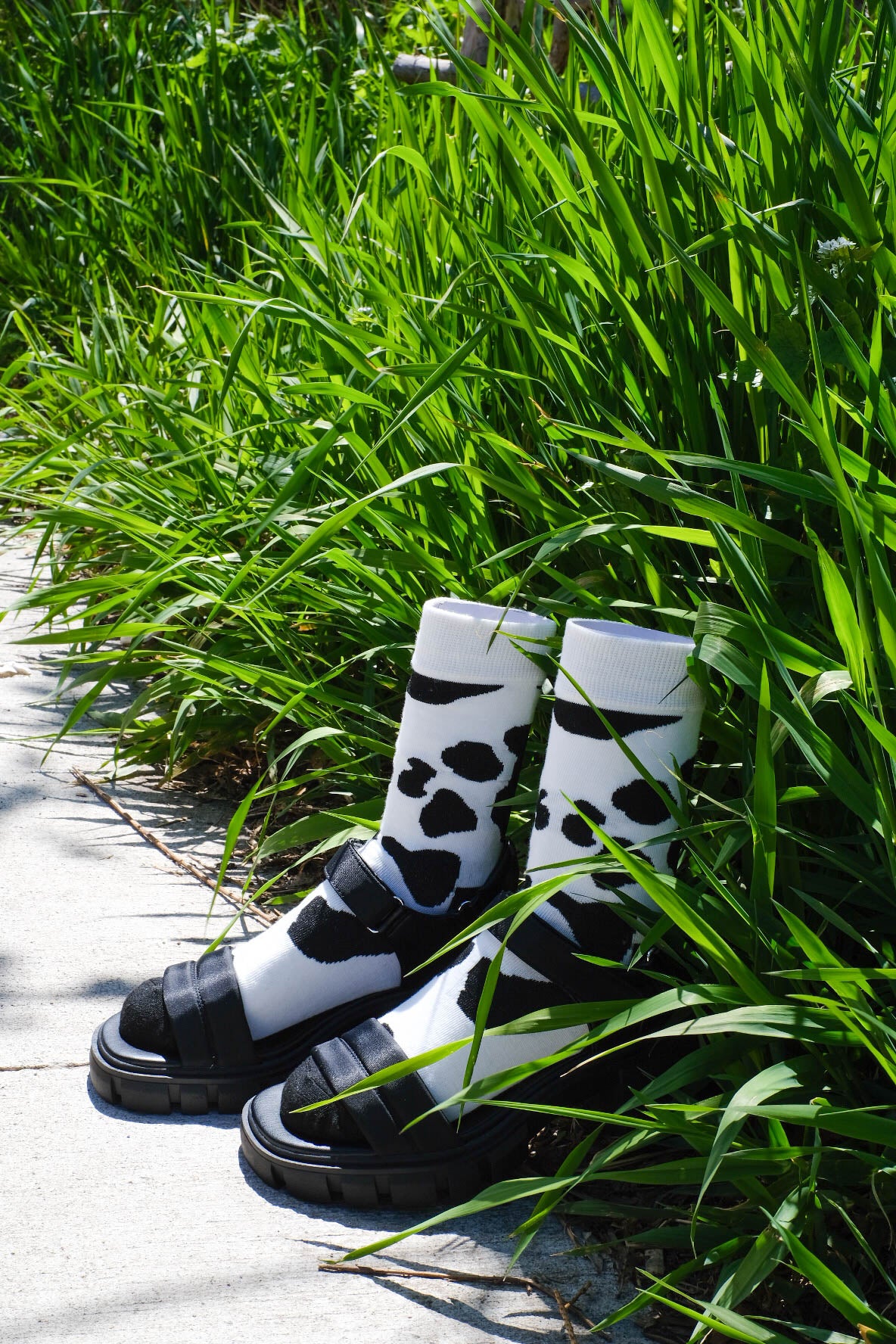 Got Milk Socks