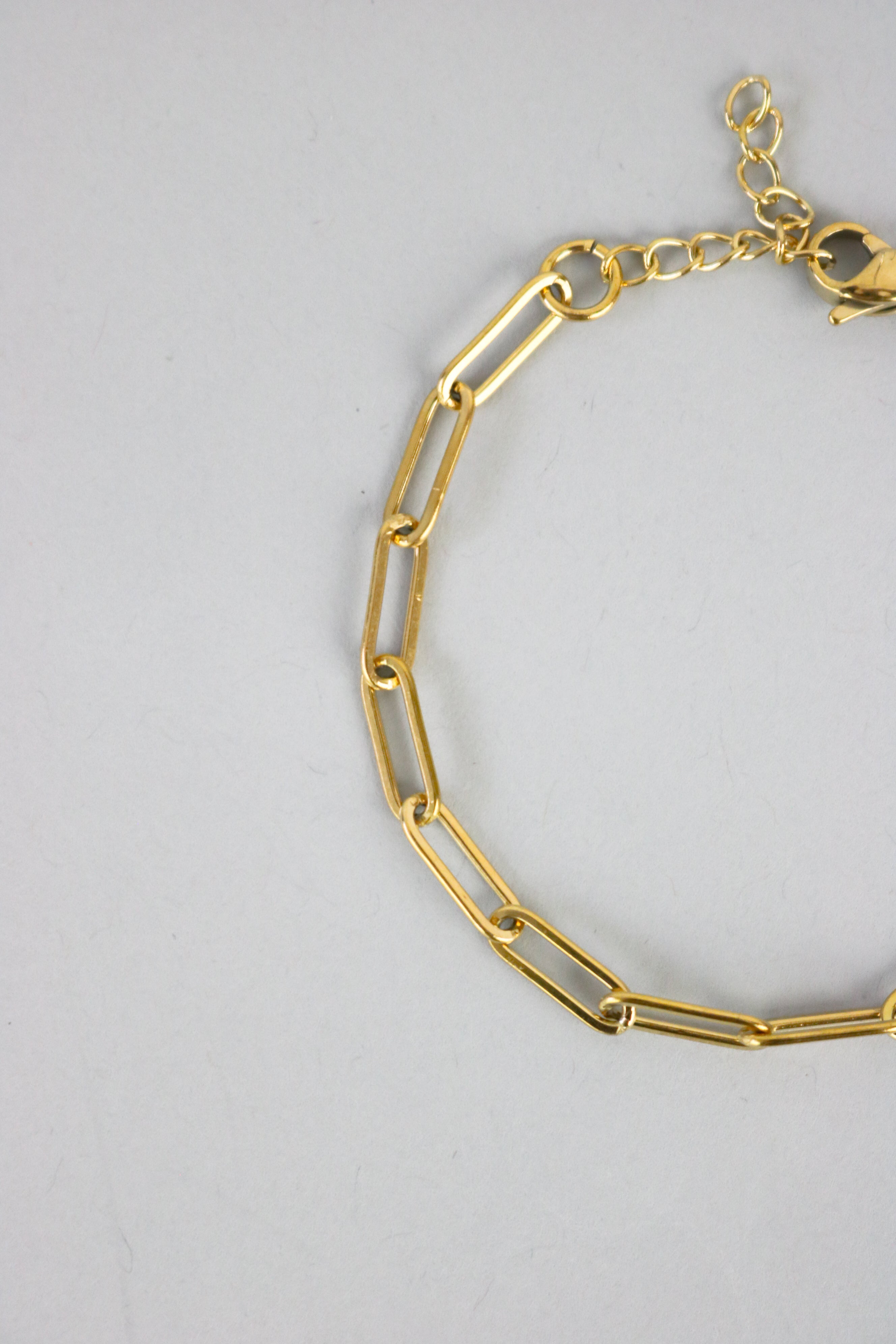 Standard Paperclip Link Bracelet in Gold