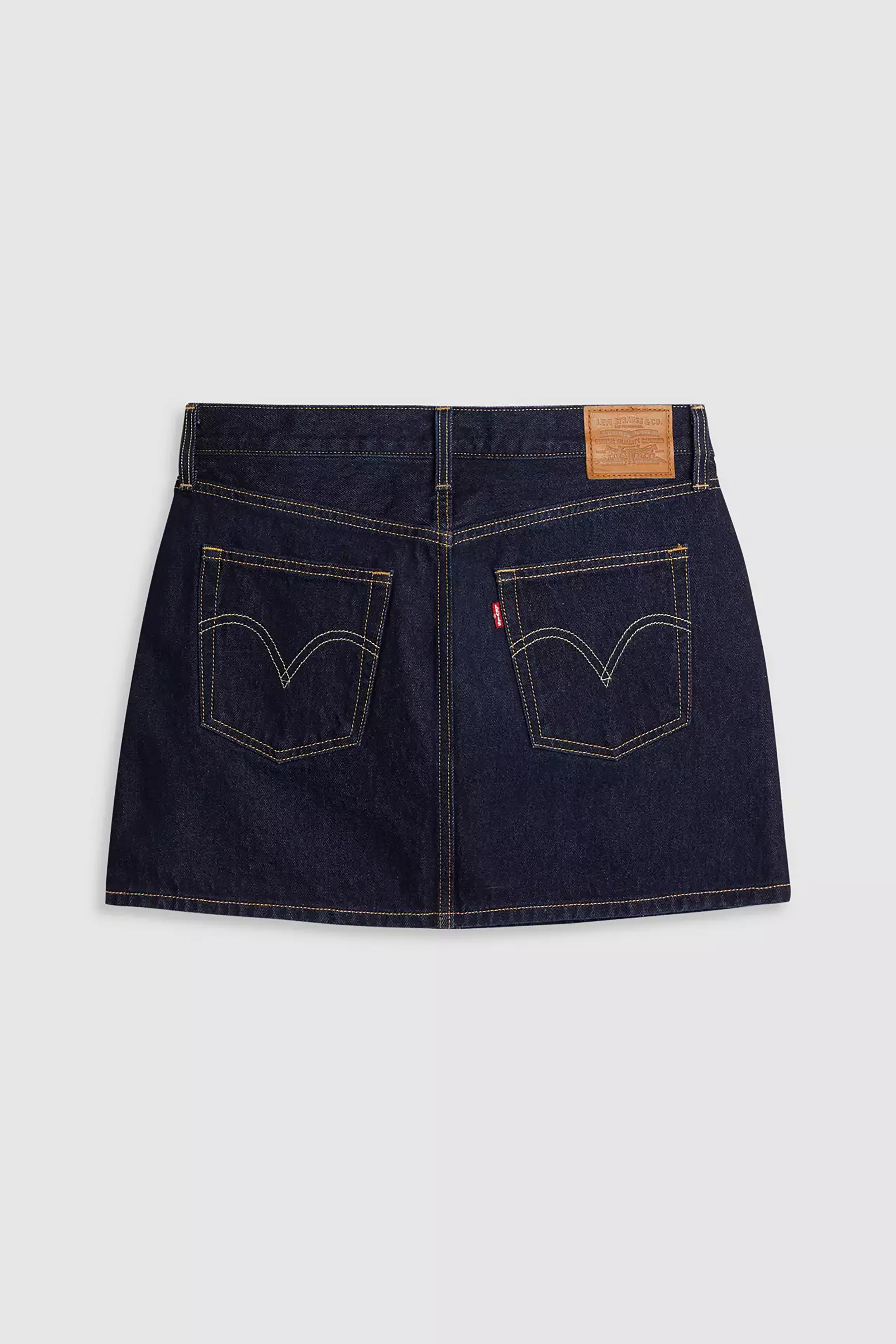 Icon Skirt Western Yoke in Dream Nice Dream