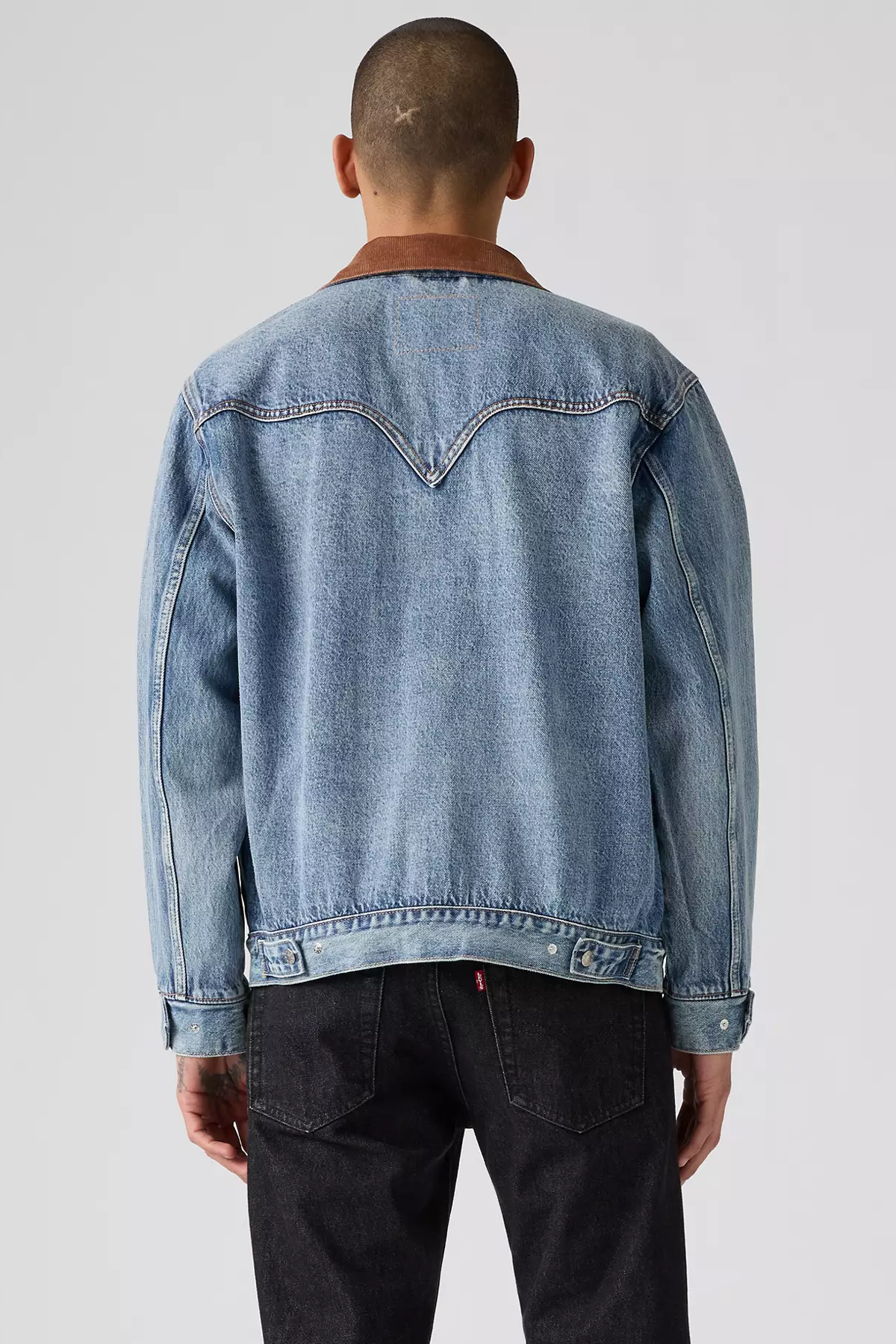 Men's Levi's Western Shorthorn Trucker in Off To Parris