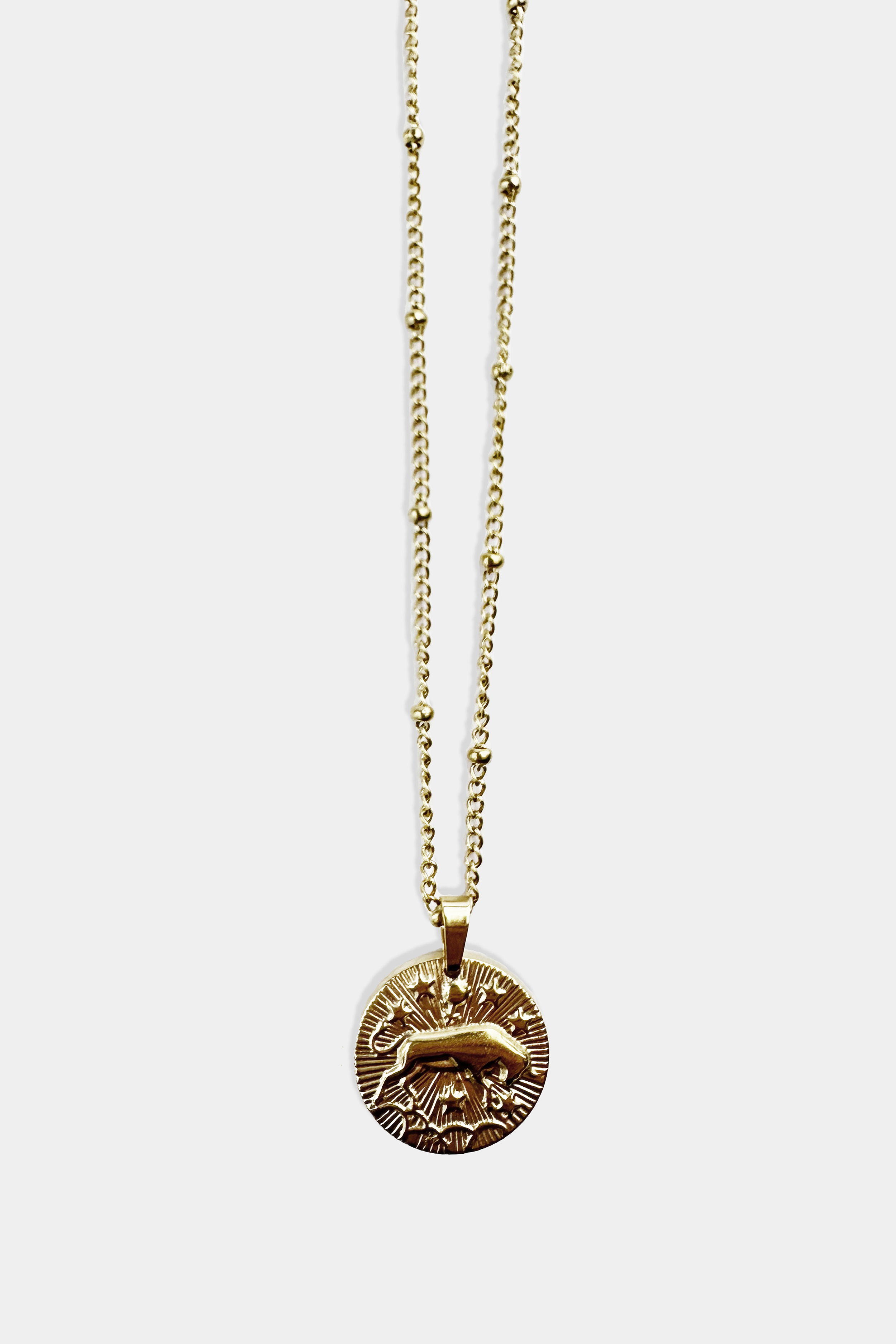 Retro Zodiac Charm Necklace