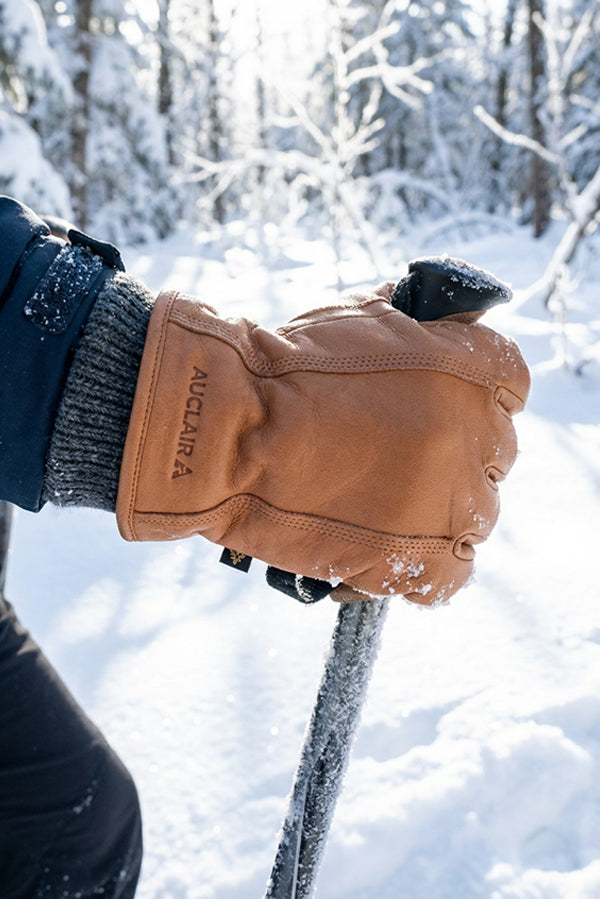 Men's Auclair Aiden Glove