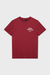 Men's Deus Ex Machina Quickbeak Tee in Lava Falls Red