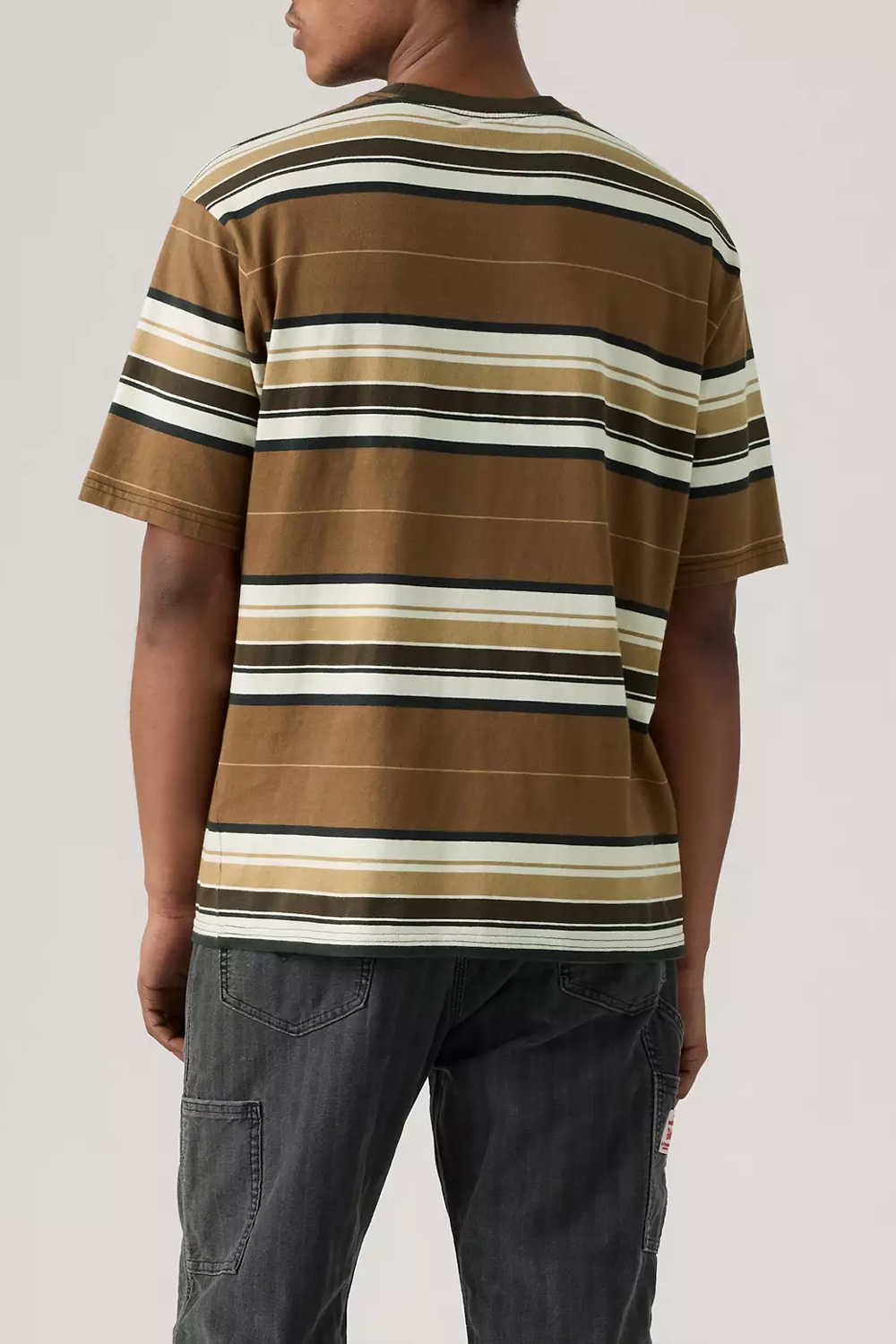Men's Levi's SS Workwear Tee in Wild Frontier Stripe