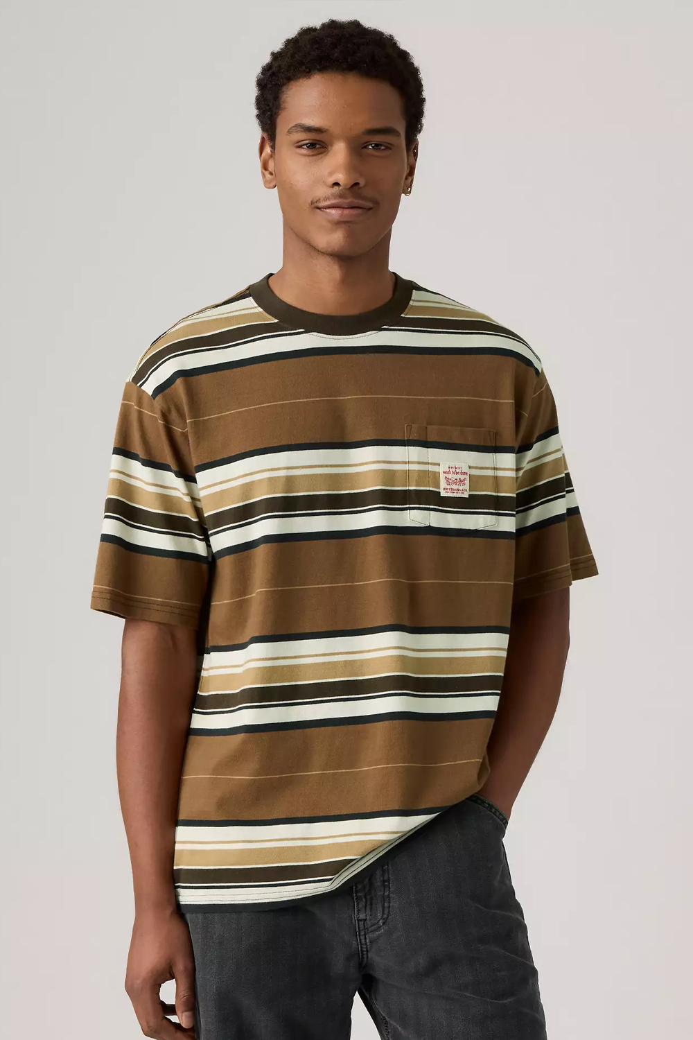 Men's Levi's SS Workwear Tee in Wild Frontier Stripe