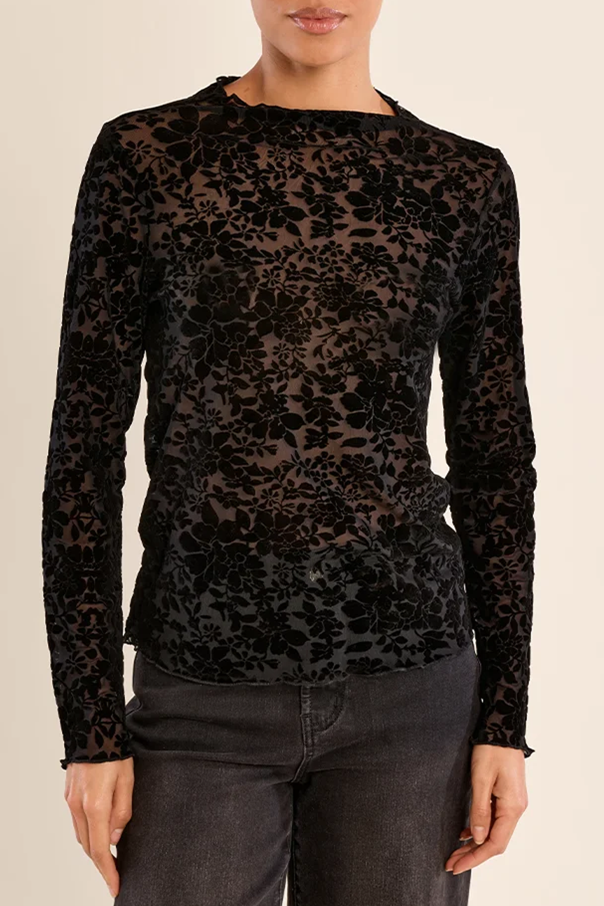 Women's Molly Bracken Owens Velvet Flock LS Top
