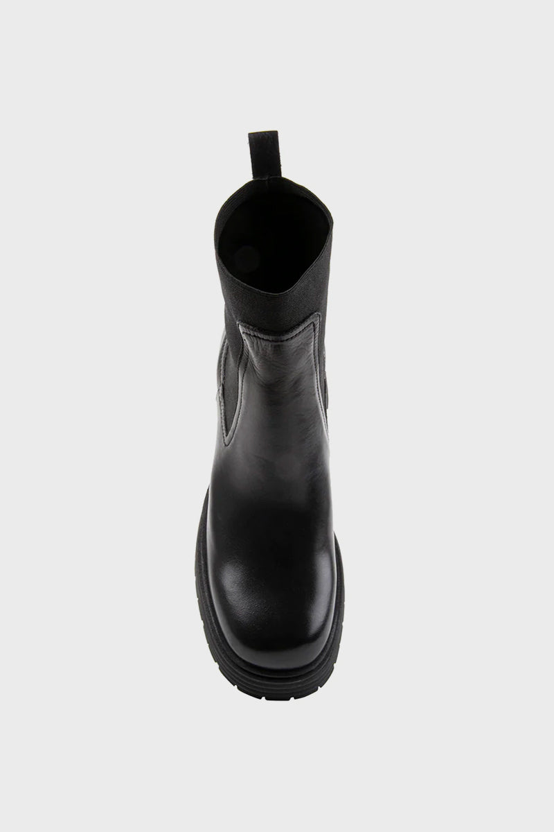 Women's Steve Madden Genyva in Black