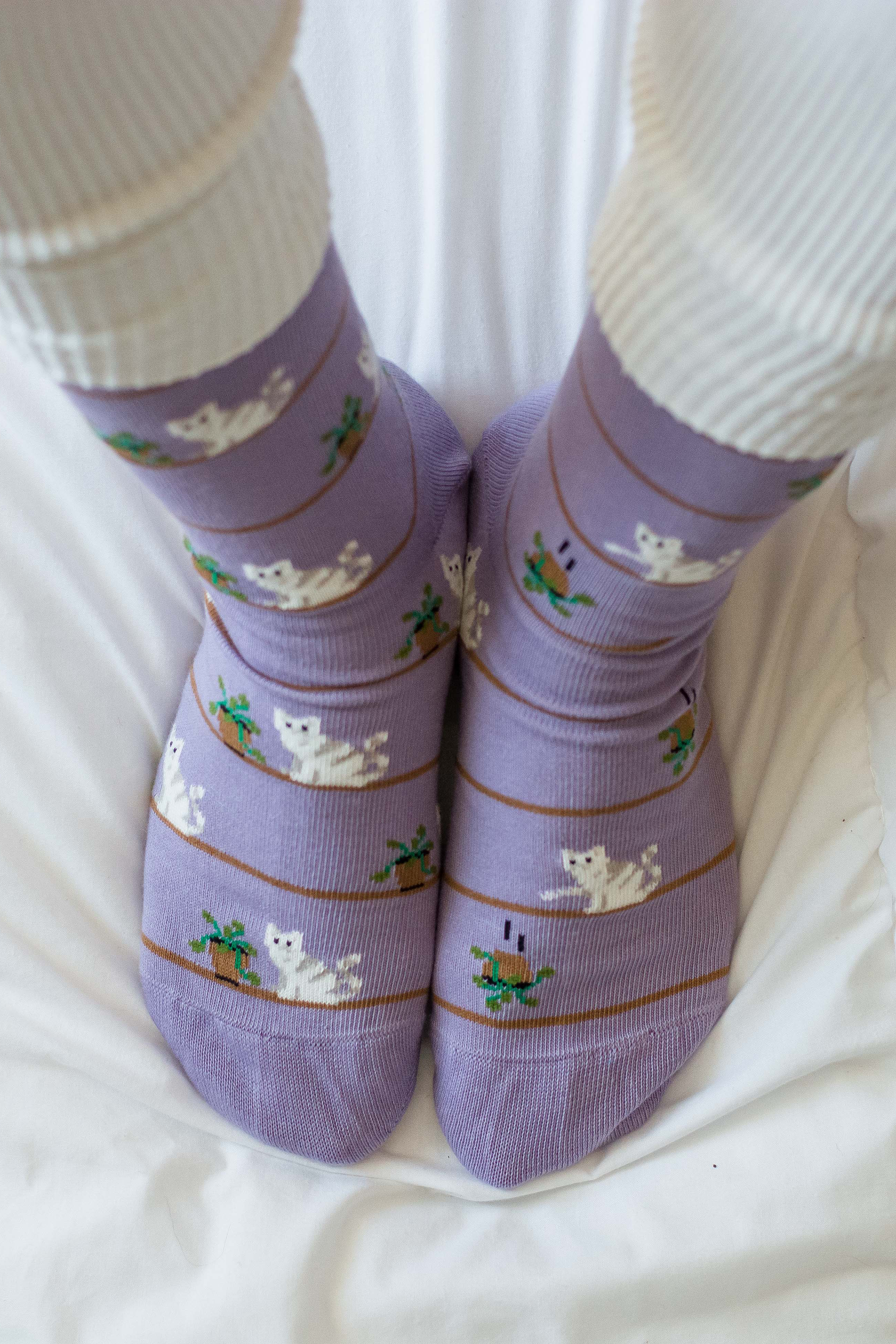 Women's Cat & Plant Socks