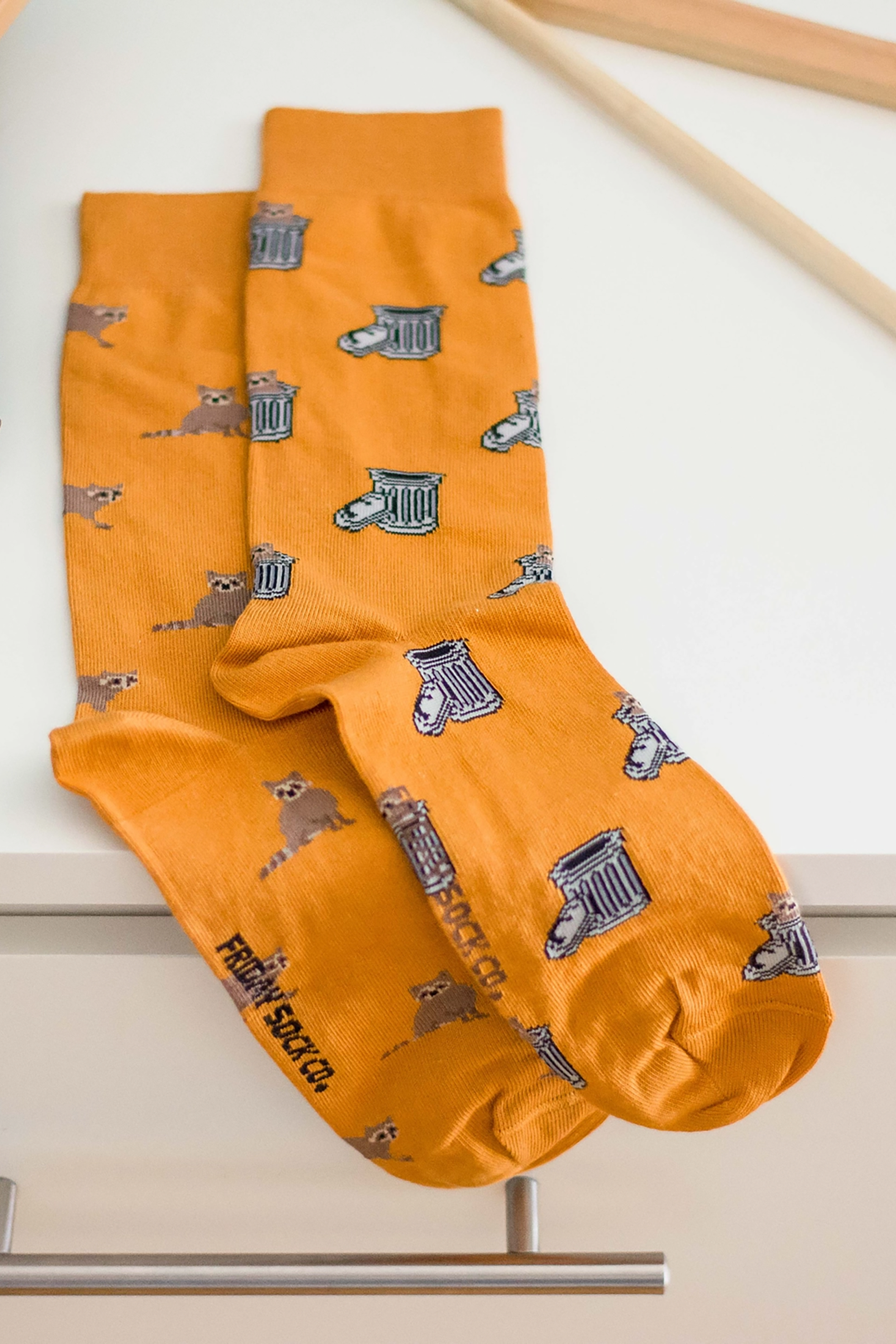 Men's Raccoon & Trash Can Socks