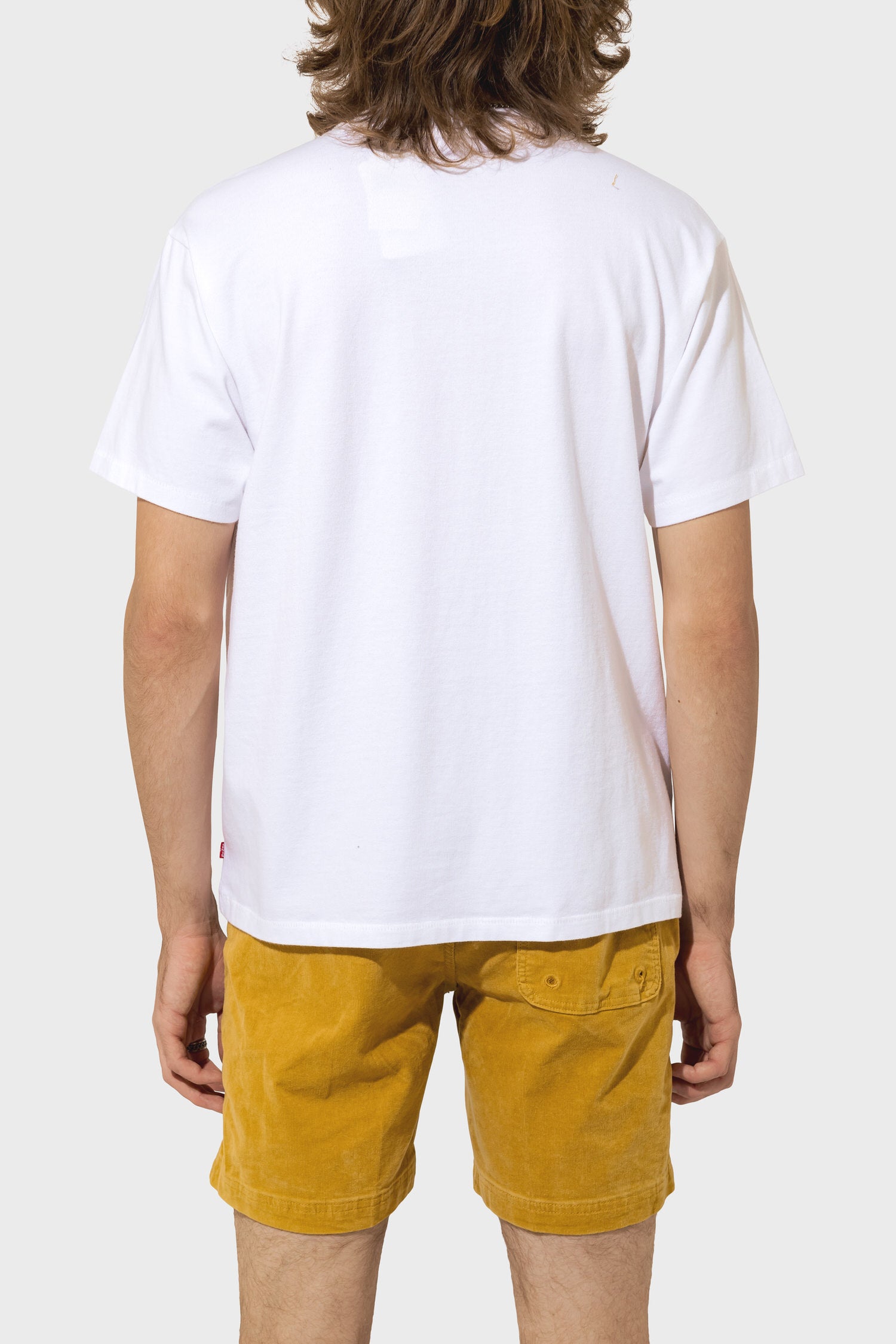 Men's Levi's Vintage Fit Graphic Tee in Button Fly