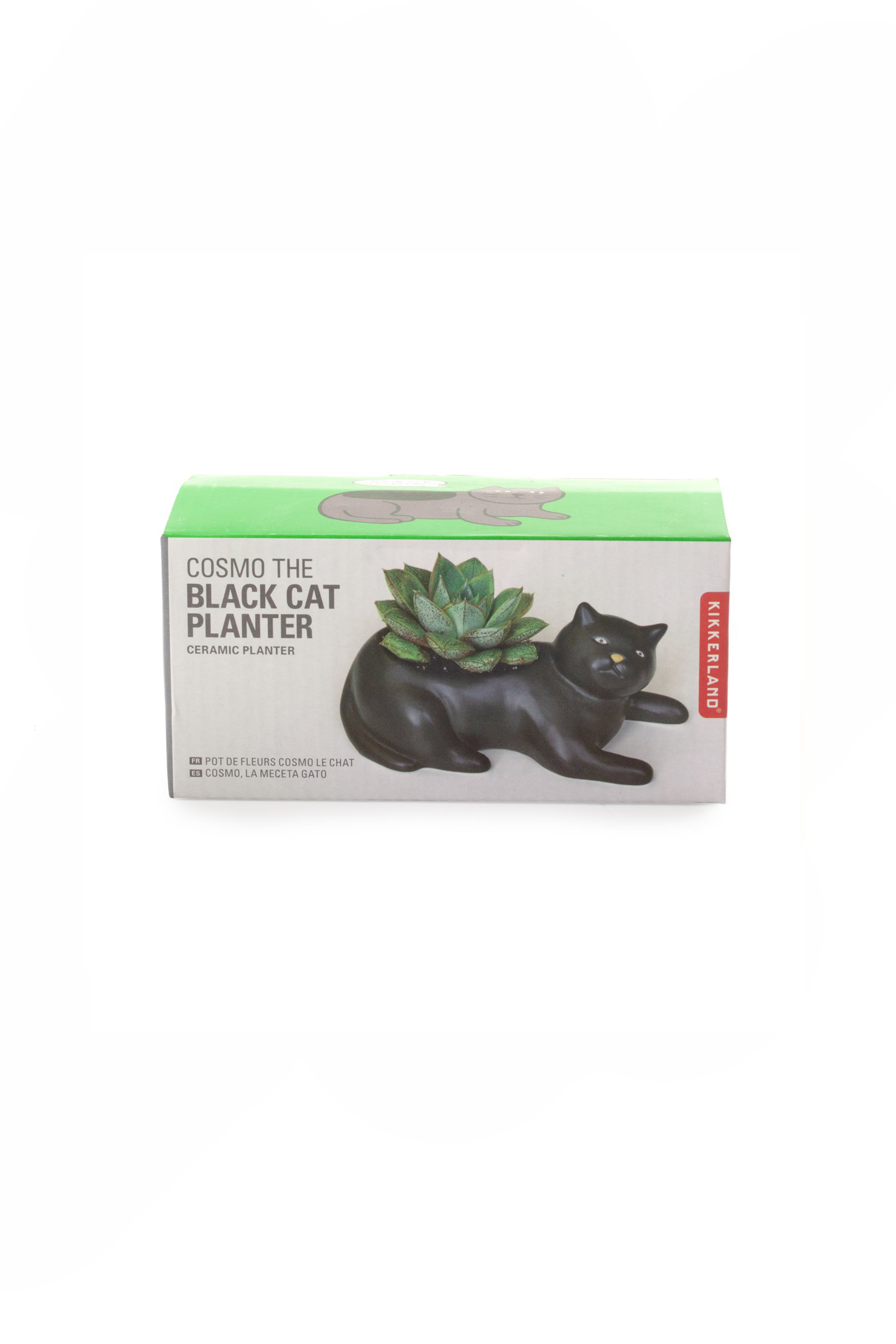 Cosmo the Black Cat Planter - Philistine