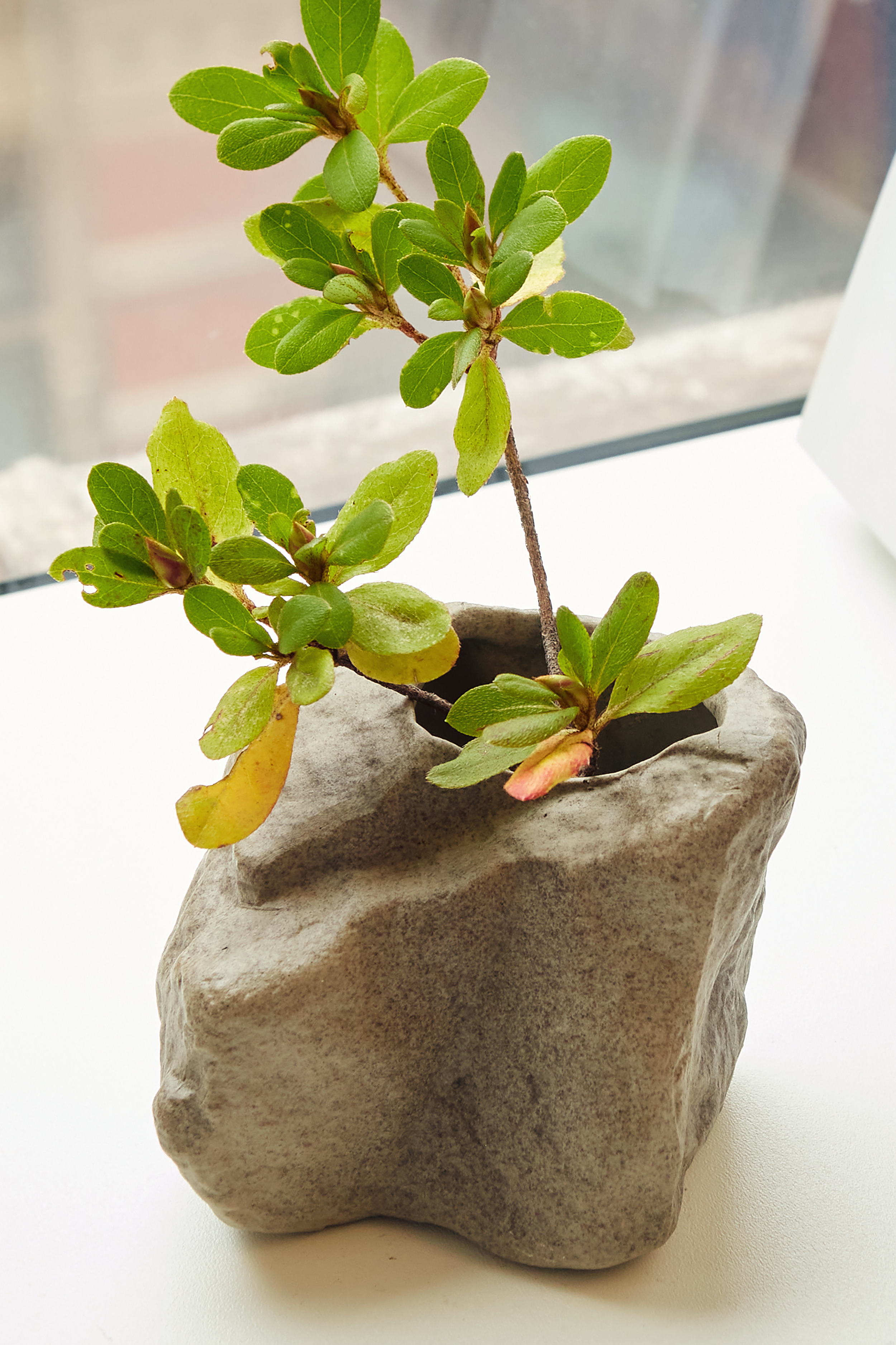 Short Rock Vase